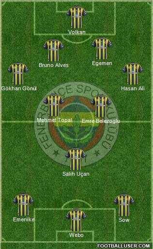 Fenerbahçe SK Formation 2013