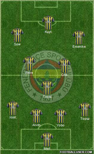 Fenerbahçe SK Formation 2013