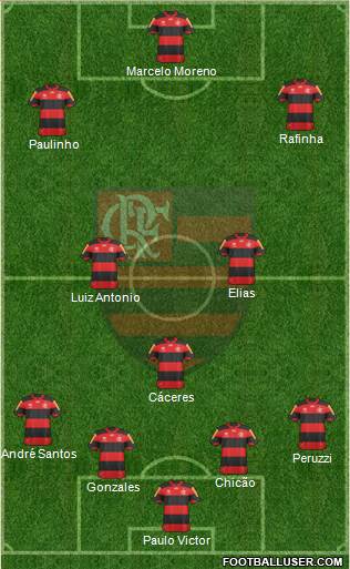 CR Flamengo Formation 2013