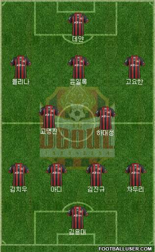 FC Seoul Formation 2013