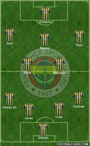 Fenerbahçe SK Formation 2013