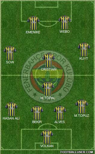 Fenerbahçe SK Formation 2013