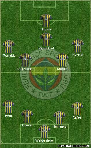 Fenerbahçe SK Formation 2013