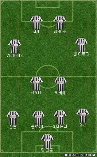 Newcastle United Formation 2013