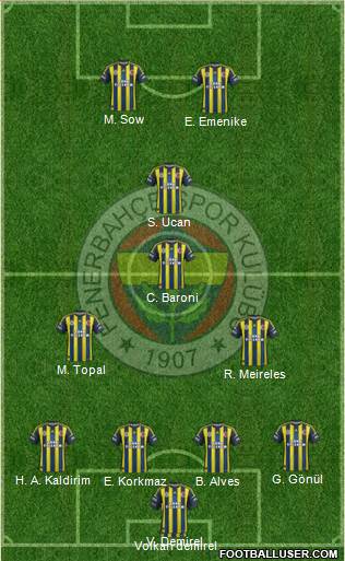 Fenerbahçe SK Formation 2013