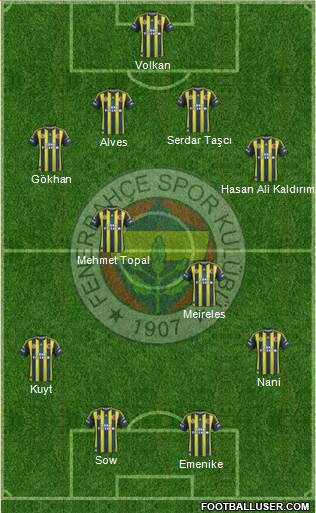 Fenerbahçe SK Formation 2013