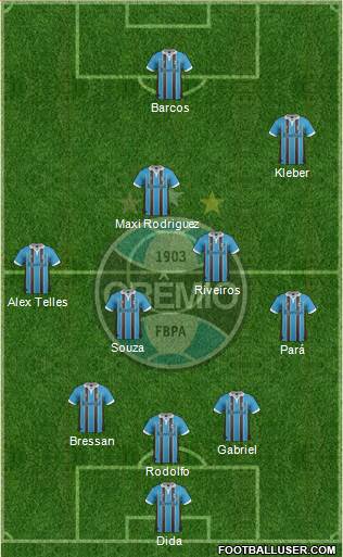 Grêmio FBPA Formation 2013