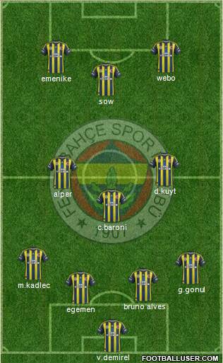 Fenerbahçe SK Formation 2013