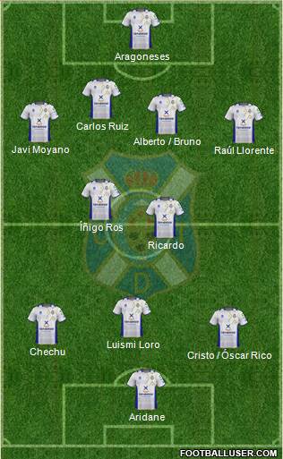 C.D. Tenerife S.A.D. Formation 2013