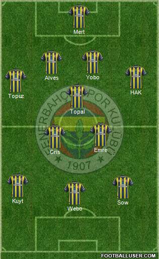 Fenerbahçe SK Formation 2013