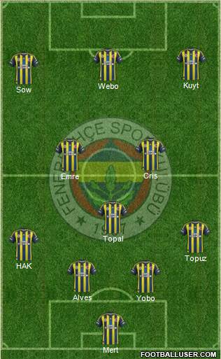 Fenerbahçe SK Formation 2013