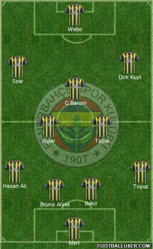 Fenerbahçe SK Formation 2013