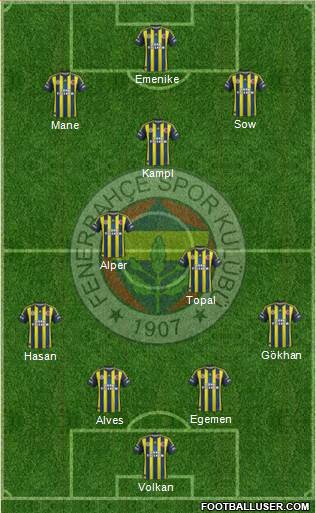 Fenerbahçe SK Formation 2013