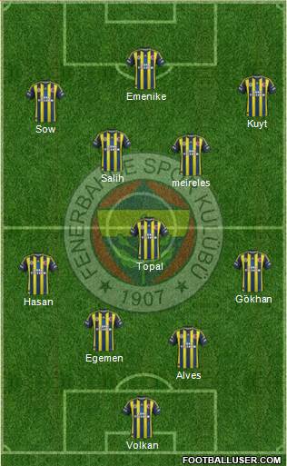 Fenerbahçe SK Formation 2013