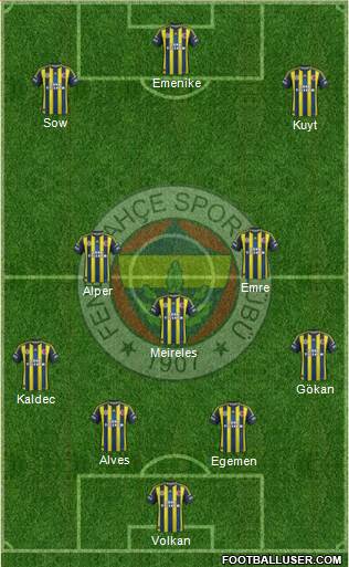 Fenerbahçe SK Formation 2013