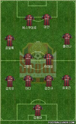 FC Seoul Formation 2013