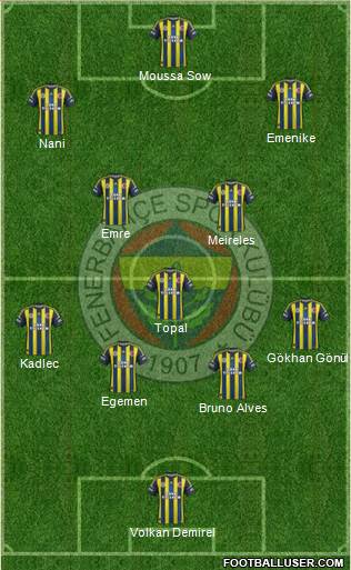 Fenerbahçe SK Formation 2013