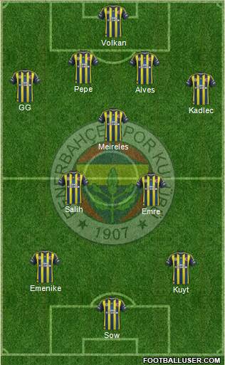 Fenerbahçe SK Formation 2013