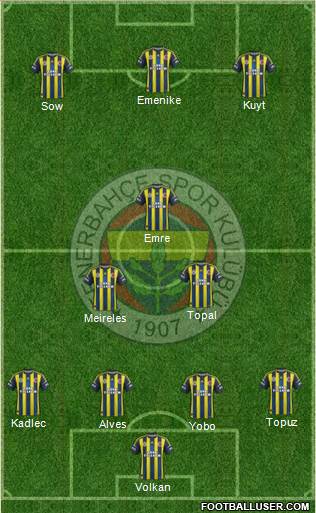 Fenerbahçe SK Formation 2013