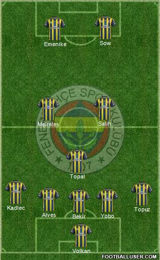 Fenerbahçe SK Formation 2013