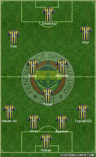 Fenerbahçe SK Formation 2013