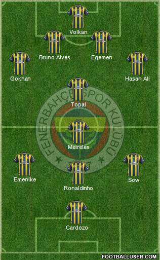 Fenerbahçe SK Formation 2013