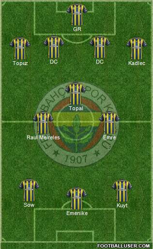 Fenerbahçe SK Formation 2013