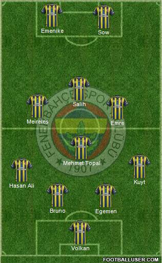 Fenerbahçe SK Formation 2013