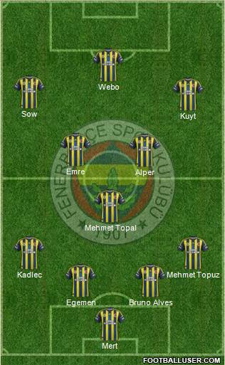 Fenerbahçe SK Formation 2013