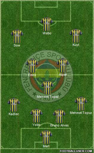 Fenerbahçe SK Formation 2013