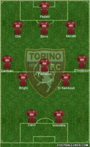 Torino Formation 2013