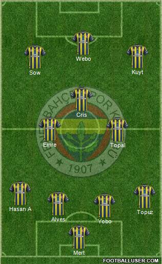 Fenerbahçe SK Formation 2013