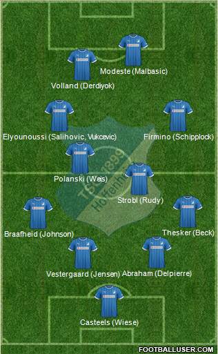 TSG 1899 Hoffenheim Formation 2013