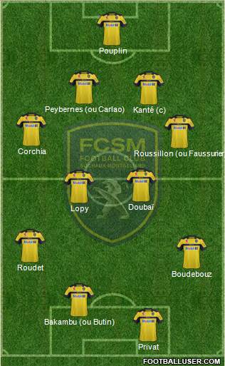 FC Sochaux-Montbéliard Formation 2013