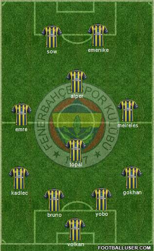 Fenerbahçe SK Formation 2013