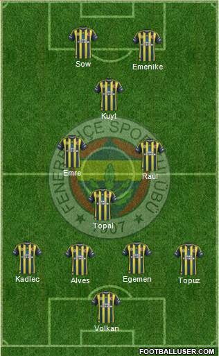 Fenerbahçe SK Formation 2013