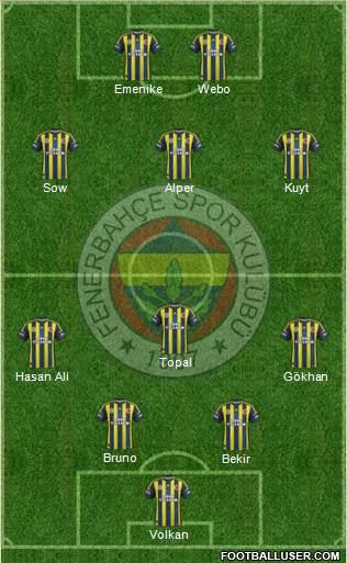 Fenerbahçe SK Formation 2013