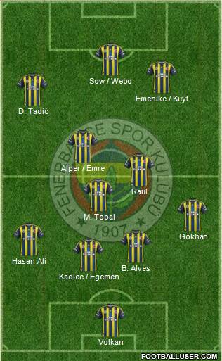 Fenerbahçe SK Formation 2013