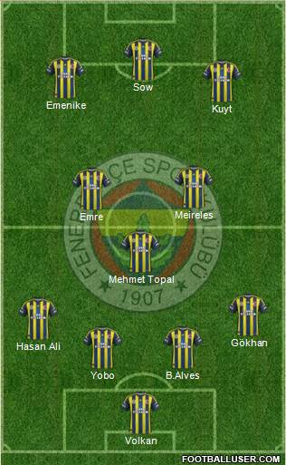 Fenerbahçe SK Formation 2013