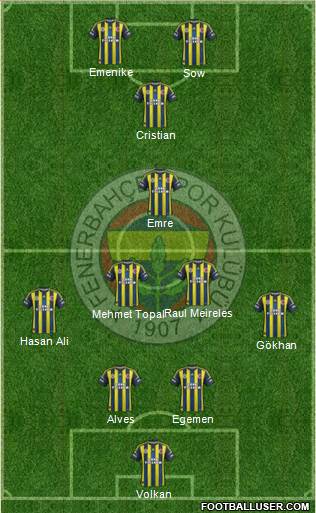 Fenerbahçe SK Formation 2013