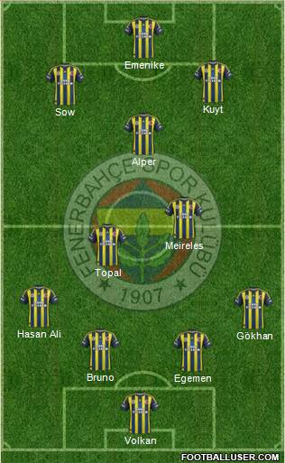 Fenerbahçe SK Formation 2013