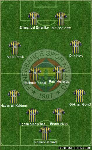 Fenerbahçe SK Formation 2013