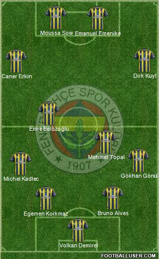 Fenerbahçe SK Formation 2013