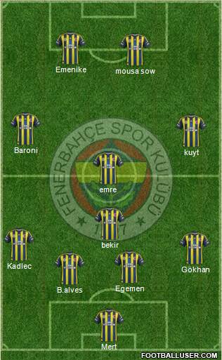 Fenerbahçe SK Formation 2013