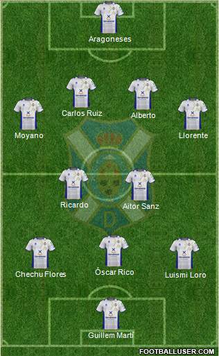 C.D. Tenerife S.A.D. Formation 2013