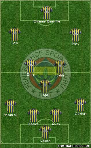 Fenerbahçe SK Formation 2013