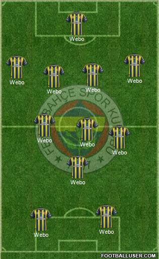 Fenerbahçe SK Formation 2013