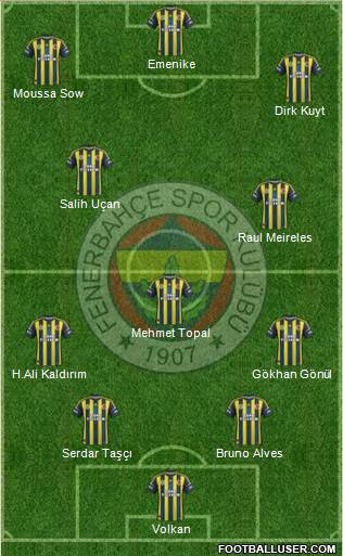 Fenerbahçe SK Formation 2013