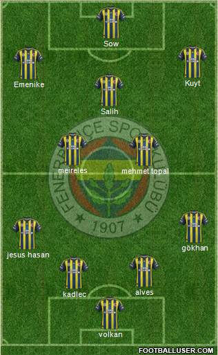 Fenerbahçe SK Formation 2013