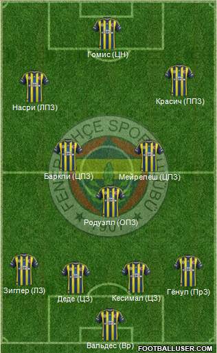 Fenerbahçe SK Formation 2013